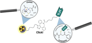 Cysteine-selective [188Re]Re(v) radiolabelling of a Nanobody® for targeted radionuclide therapy using a “chelate-then-click” approach