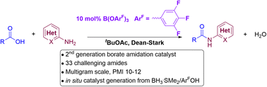 Borate-catalysed direct amidation reactions of coordinating substrates