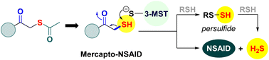 Mercapto-NSAIDs generate a non-steroidal anti-inflammatory drug (NSAID) and hydrogen sulfide