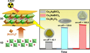 Highly stable bismuth-chloride perovskite X-ray direct detectors with an ultralow detection limit